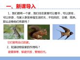 苏教版小学科学四下第五单元《16.动物的庇护所》课件PPT+教案+视频素材