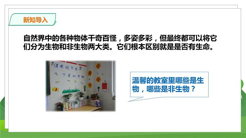 苏教科学四下  5.15《生物与非生物》课件＋教案＋练习＋素材02