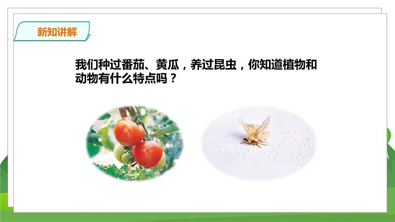 苏教科学四下  5.15《生物与非生物》课件＋教案＋练习＋素材03