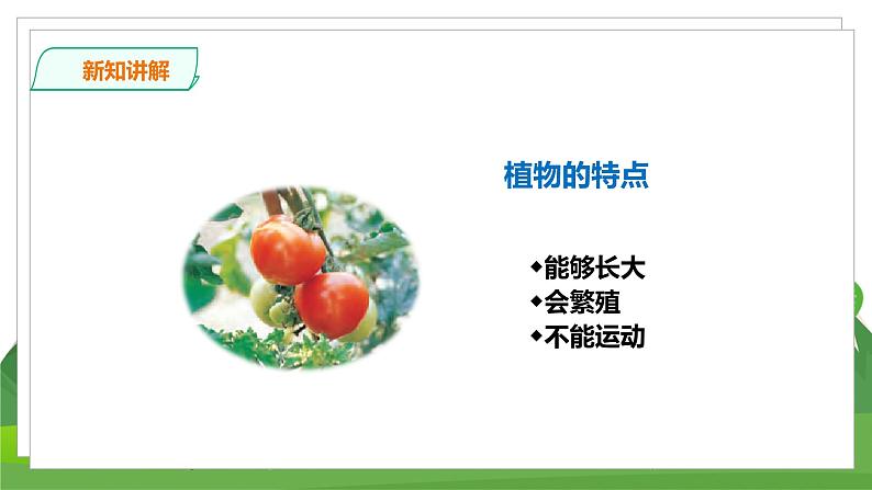 苏教科学四下  5.15《生物与非生物》课件＋教案＋练习＋素材04