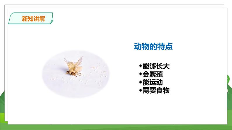 苏教科学四下  5.15《生物与非生物》课件＋教案＋练习＋素材05