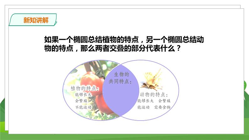 苏教科学四下  5.15《生物与非生物》课件＋教案＋练习＋素材06
