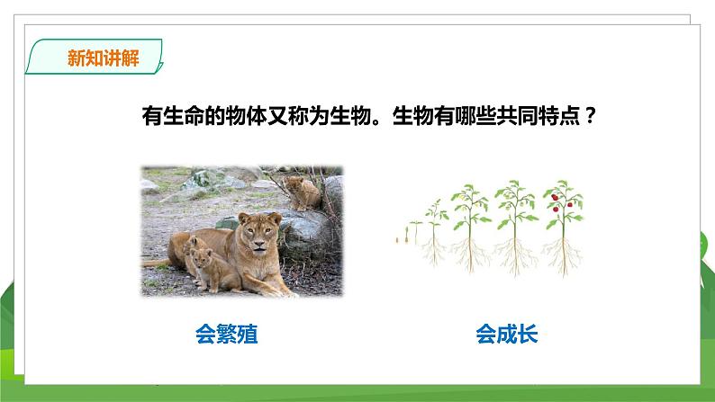 苏教科学四下  5.15《生物与非生物》课件＋教案＋练习＋素材07