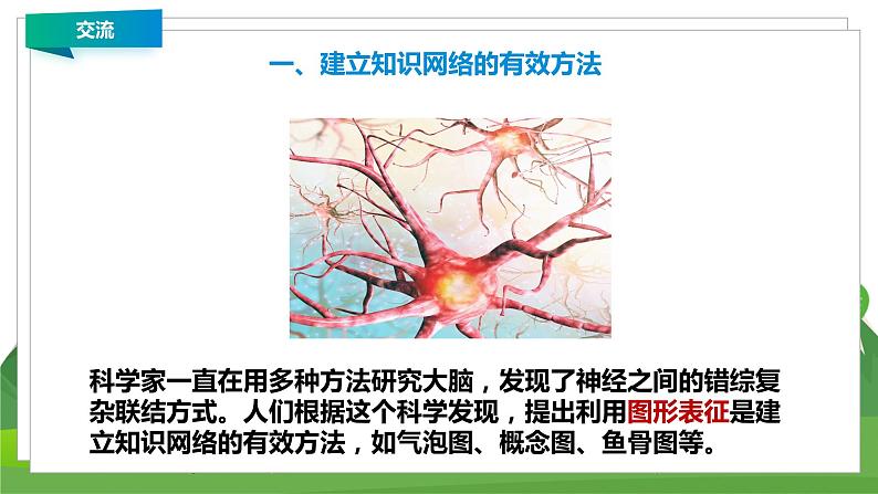苏教科学五上 5.4《大脑的开发和利用》课件+教案+练习+素材03