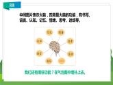 苏教科学五上 5.4《大脑的开发和利用》课件+教案+练习+素材