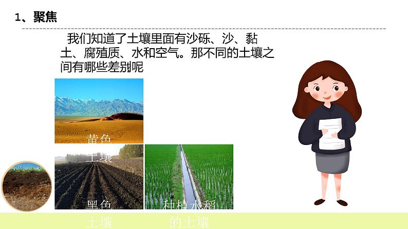 教科版科学四年级下册3.7《比较不同的土壤》课件ppt+教案+同步习题03