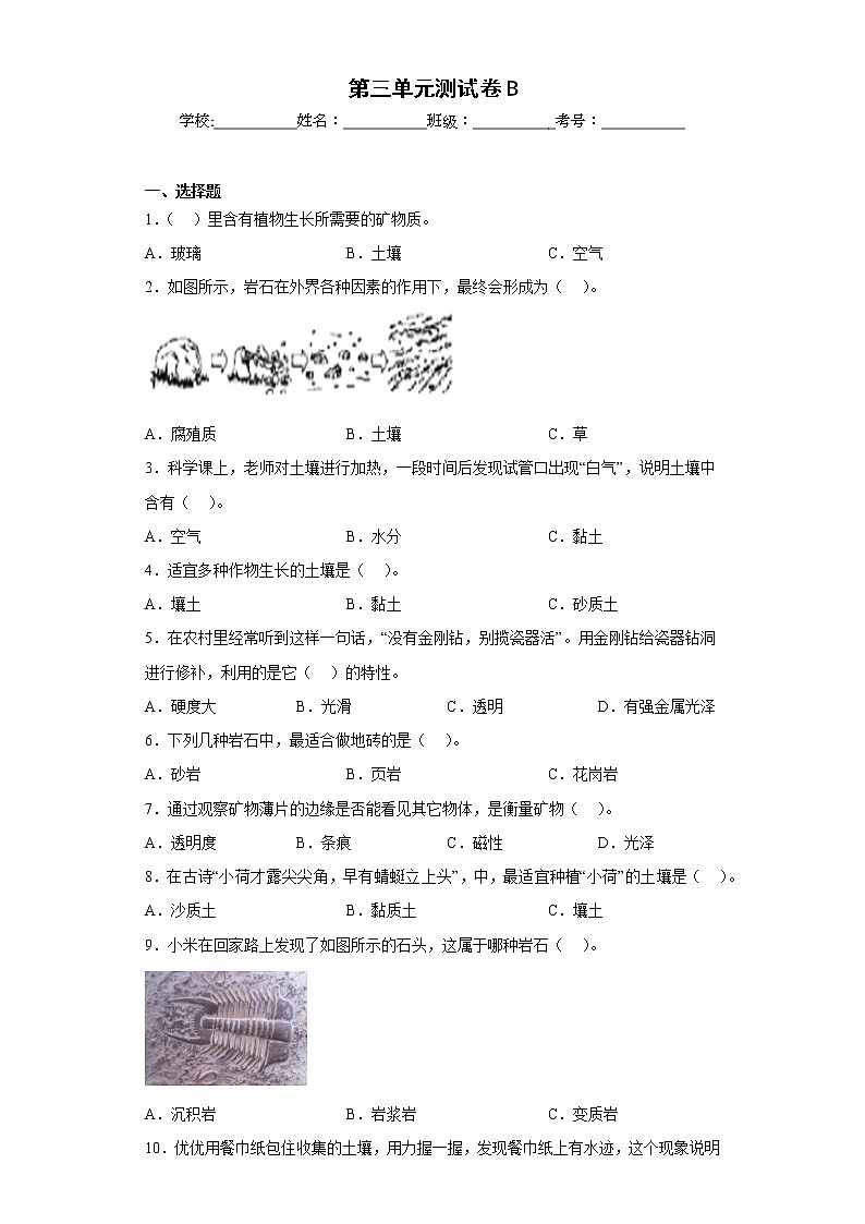 教科版科学四年级下册第三单元测试卷B01