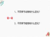 不同的季节（课件+素材）