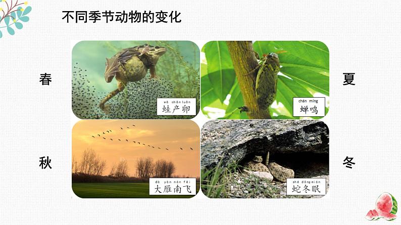 不同的季节第6页