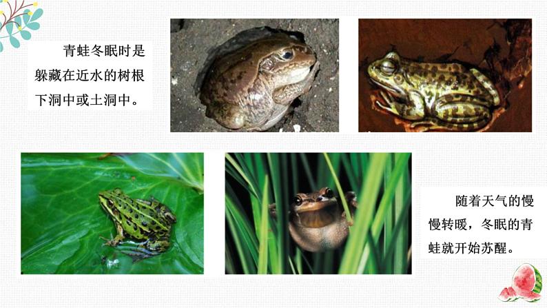 不同的季节第8页