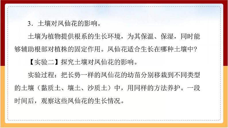 人教鄂教版（2017秋） 三年级下册2.5 养护凤仙花（课件）第7页