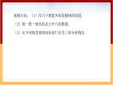 人教鄂教版（2017秋） 三年级下册2.6 根 茎 叶（课件）