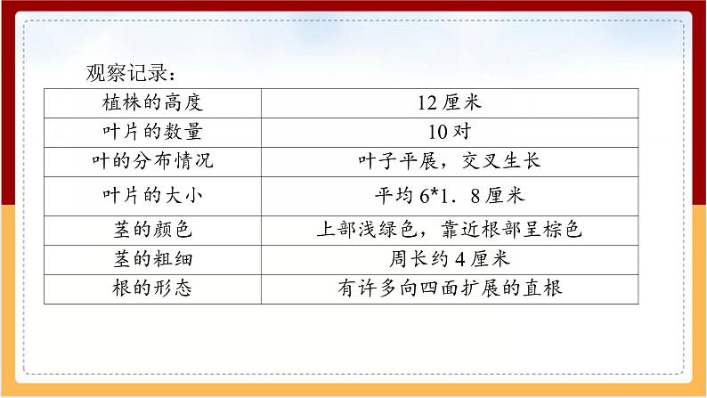 人教鄂教版（2017秋） 三年级下册2.6 根 茎 叶（课件）第6页