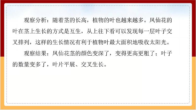 人教鄂教版（2017秋） 三年级下册2.6 根 茎 叶（课件）第7页