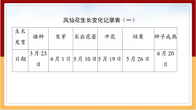 人教鄂教版（2017秋） 三年级下册2.8 凤仙花的一生（课件）第5页