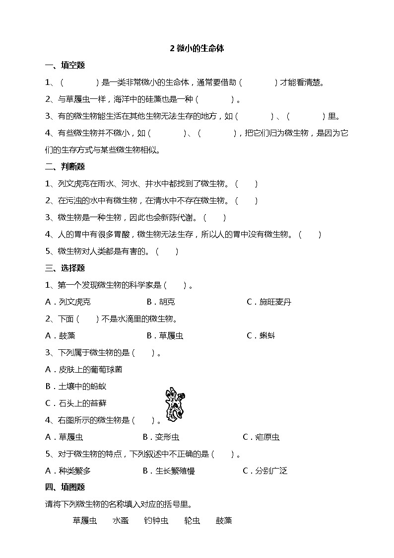 2微小的生命体 试题（含答案解析）第1页