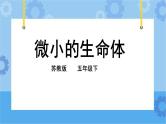 1.2 微小的生命体 课件+教案+试题+素材