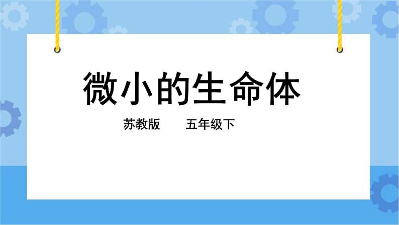 1.2 微小的生命体 课件+教案+试题+素材02