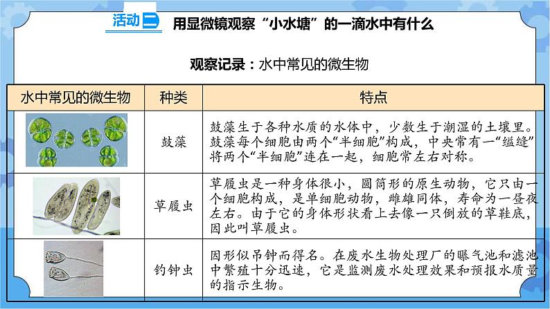 1.2 微小的生命体 课件+教案+试题+素材06