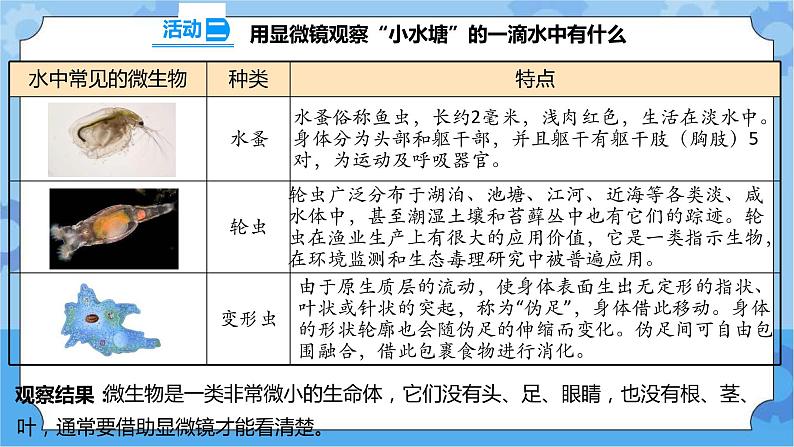 1.2 微小的生命体 课件+教案+试题+素材07