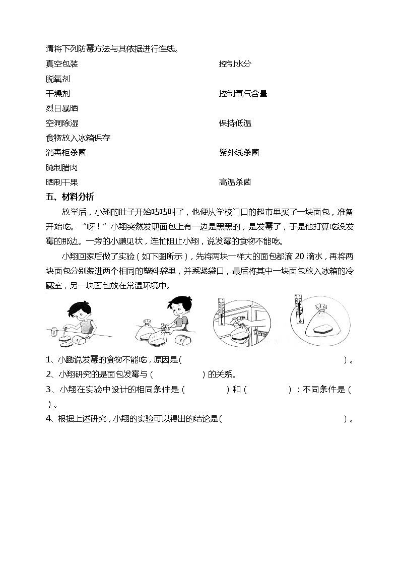 1.3 发霉与防霉 课件+教案+试题+素材02