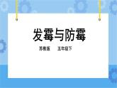 1.3 发霉与防霉 课件+教案+试题+素材
