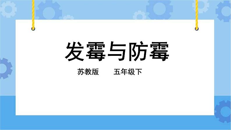 1.3 发霉与防霉 课件+教案+试题+素材02