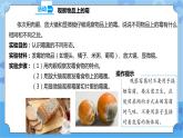 1.3 发霉与防霉 课件+教案+试题+素材