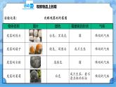 1.3 发霉与防霉 课件+教案+试题+素材