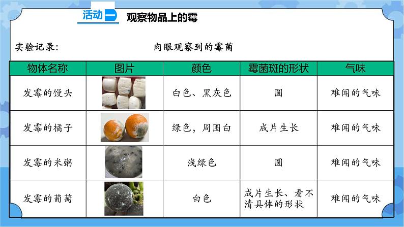 1.3 发霉与防霉 课件+教案+试题+素材04