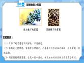 1.3 发霉与防霉 课件+教案+试题+素材