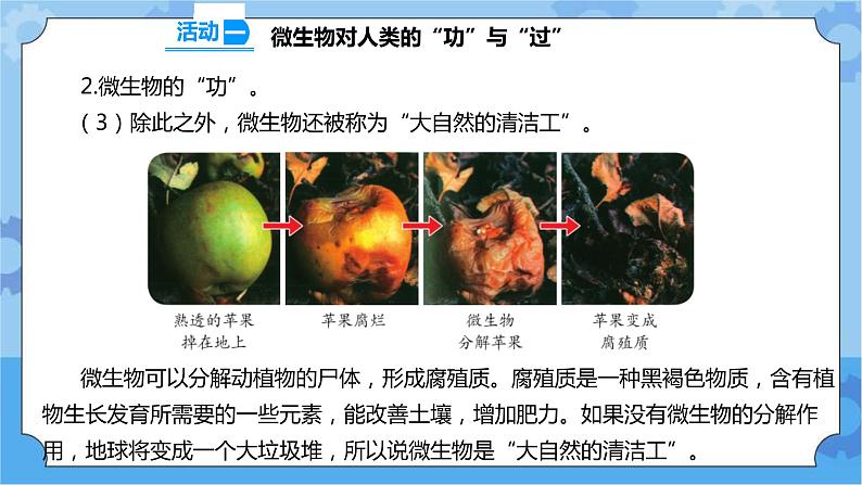 1.4 微生物的“功”与“过” 课件+教案+试题+素材05