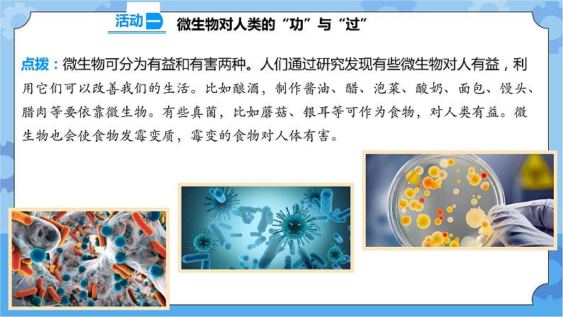 1.4 微生物的“功”与“过” 课件+教案+试题+素材06