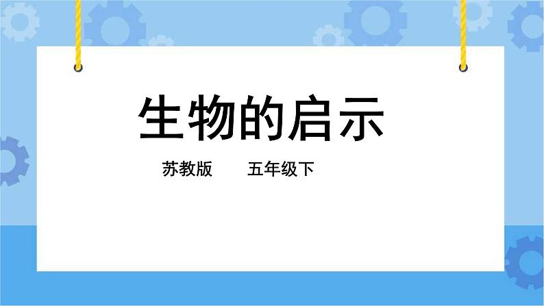 2.5 生物的启示 课件+教案+试题+素材02