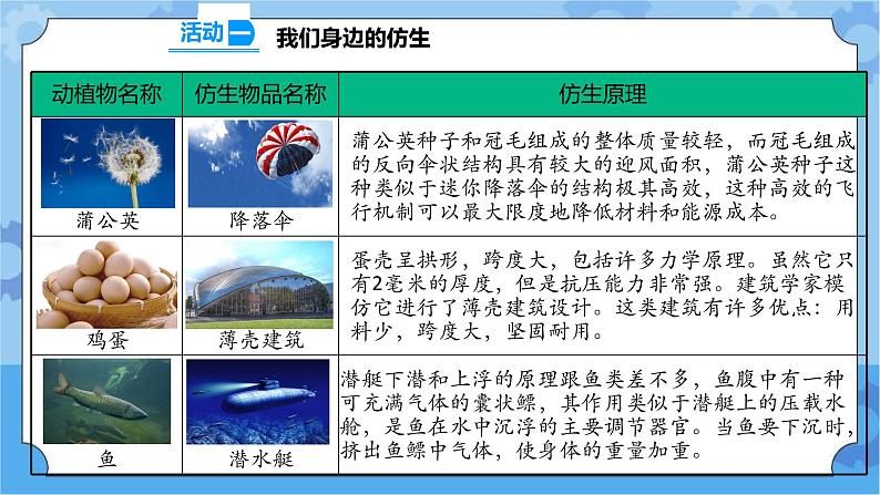 2.5 生物的启示 课件+教案+试题+素材04