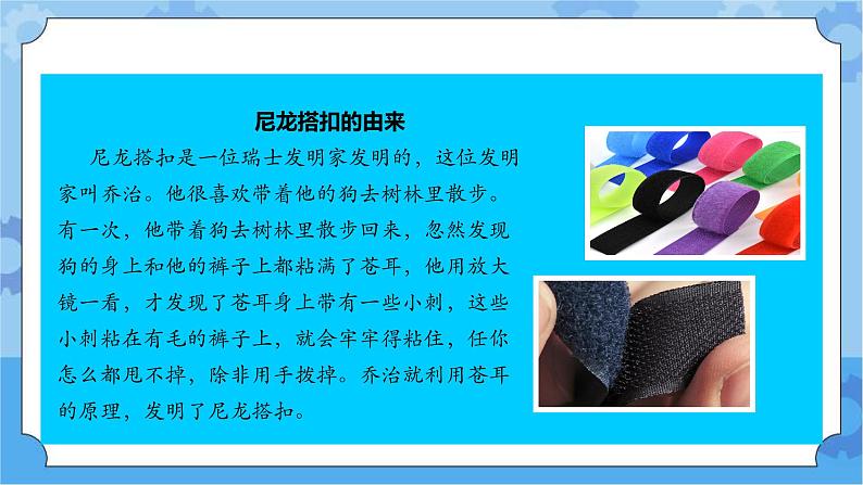 2.5 生物的启示 课件+教案+试题+素材05