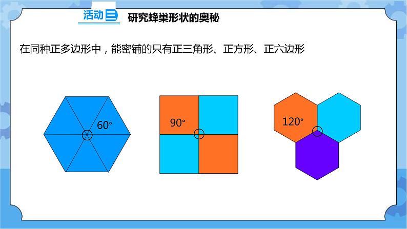 2.5 生物的启示 课件+教案+试题+素材08