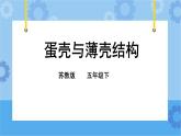 2.6 蛋壳与拱形建筑 课件+教案+试题+素材