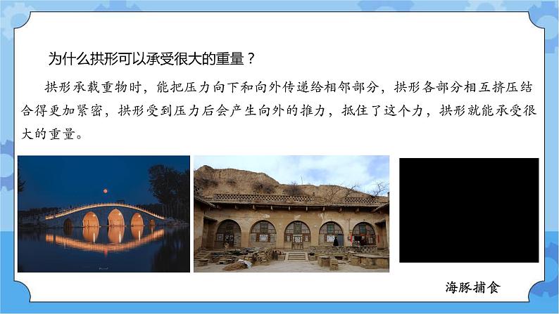 2.7 海豚与声呐 课件+教案+试题+素材01