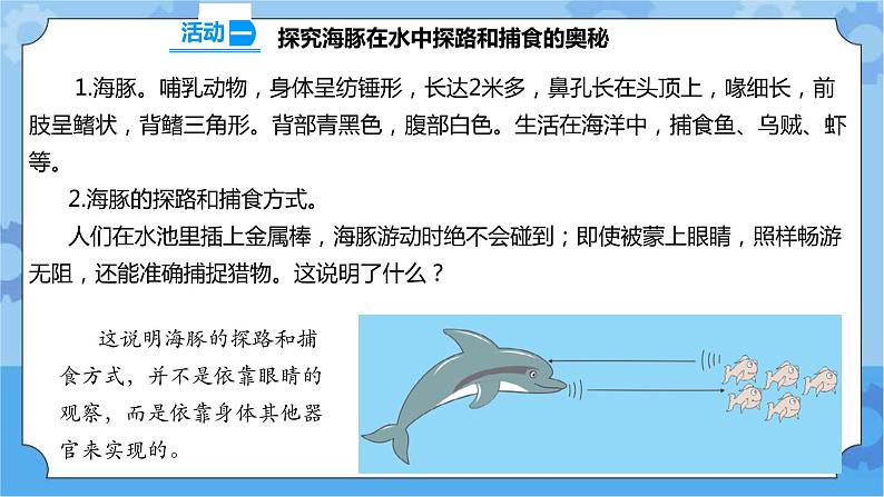 2.7 海豚与声呐 课件+教案+试题+素材03
