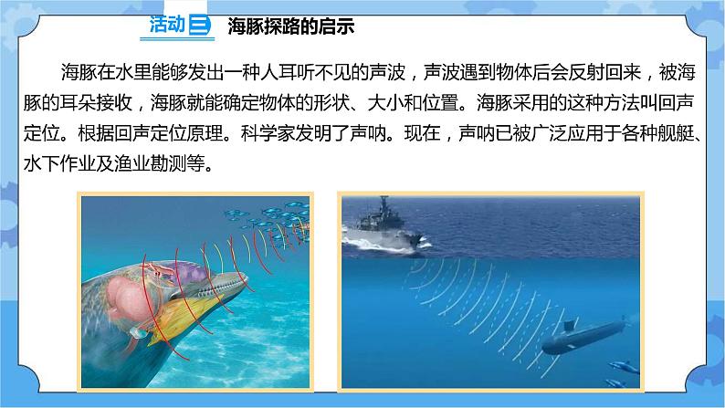 2.7 海豚与声呐 课件+教案+试题+素材05