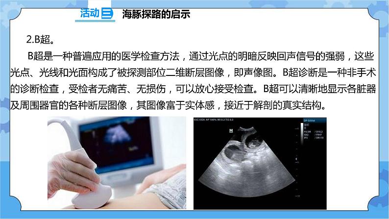 2.7 海豚与声呐 课件+教案+试题+素材07