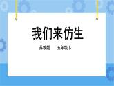 2.8 我们来仿生 课件+教案+试题+素材