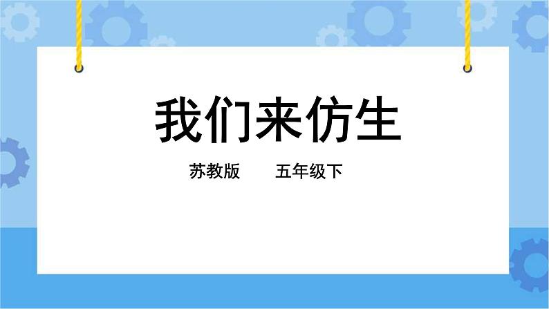 2.8 我们来仿生 课件+教案+试题+素材02