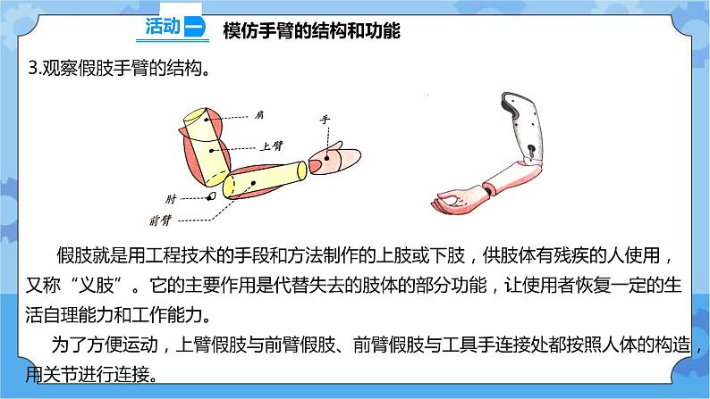 2.8 我们来仿生 课件+教案+试题+素材07