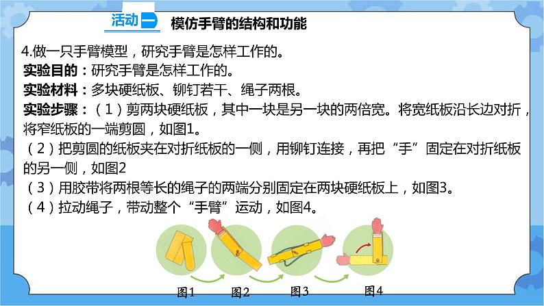 2.8 我们来仿生 课件+教案+试题+素材08