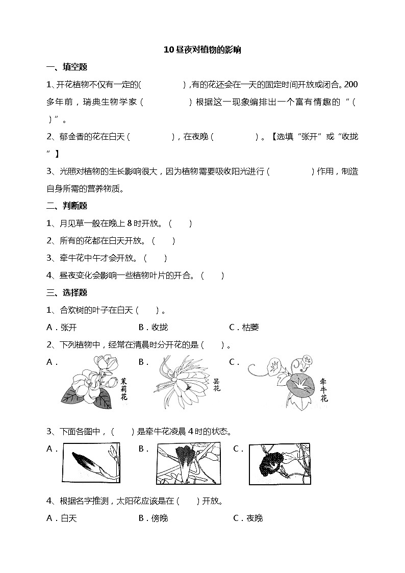 3.10 昼夜对植物的影响 课件+教案+试题+素材01