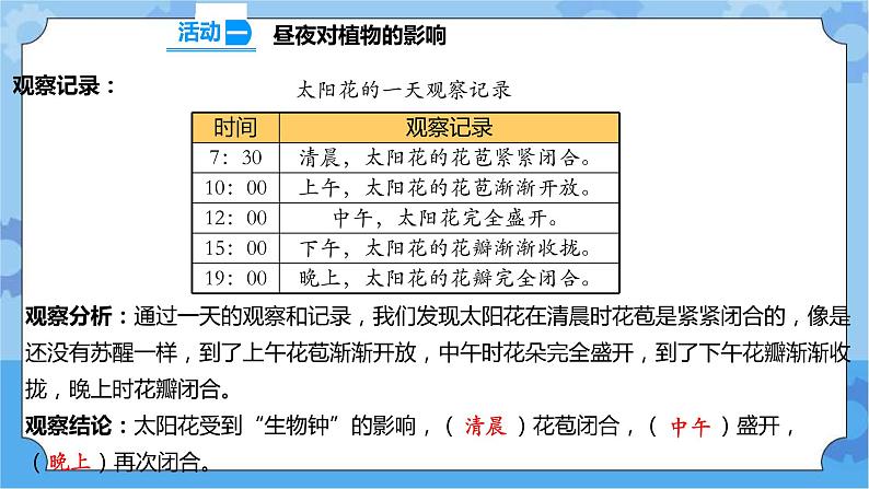 10昼夜对植物的影响 课件第8页