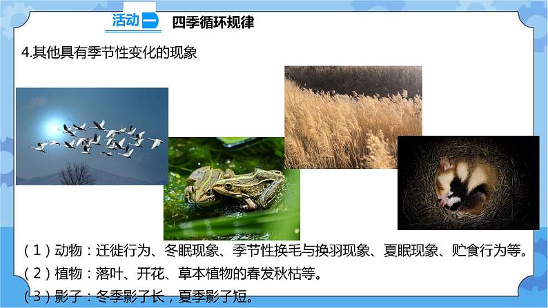 3.12 四季循环 课件+教案+试题+素材07