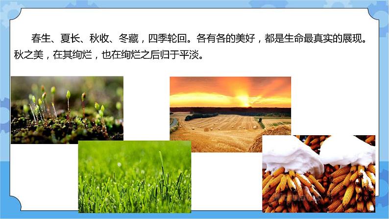 STEM 学习 立体小菜园 课件+教案+试题+素材01